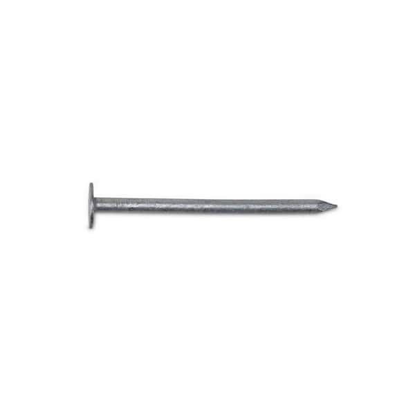 PRO-FIT #11 x 2 in. Hot Dipped Galvanized Non-Collated Roofing Nails 5 lbs. (600-Count)