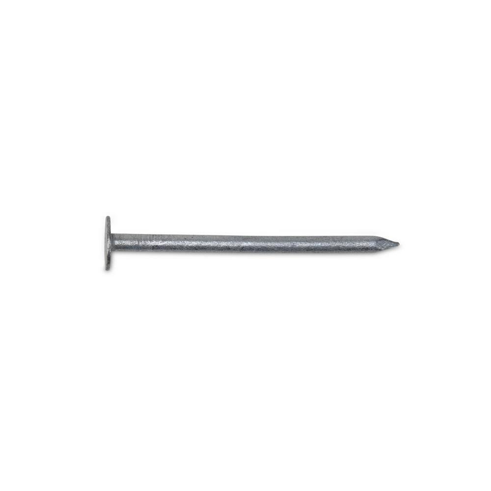 PROFIT 11 x 2 in. Hot Dipped Galvanized NonCollated Roofing Nails 5