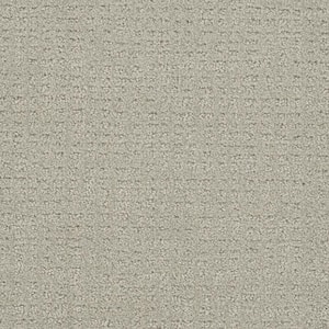 Wandering Scout - Hilltop - Beige 28 oz. SD Polyester Pattern Installed Carpet