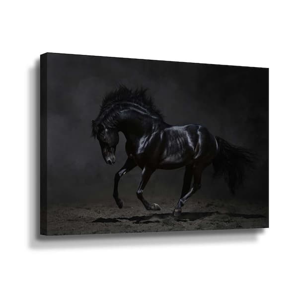 ArtWall Onyx' by PhotoINC Studio Canvas Wall Art 5pst201a3248w - The ...