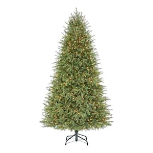 7.5 ft Grand Duchess Balsam Fir Christmas Tree