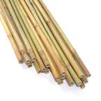 2 ft. x 3/8 in. Natural Bamboo Eco-Friendly Garden Plant Stakes for Climbing Support (500 Pack)