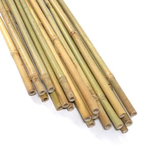 2 ft. x 5/16 in. Natural Bamboo  Garden Plant Stakes for Climbing Support (100-Pack)