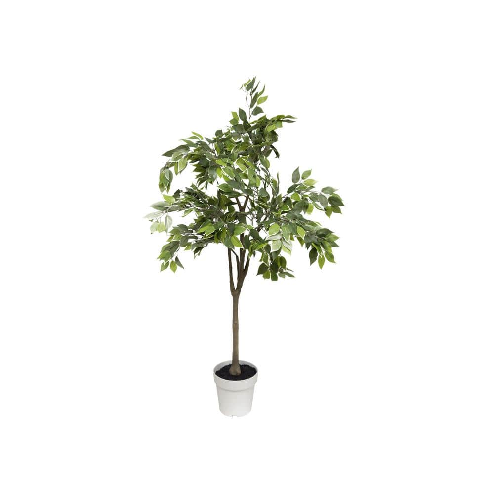 Algreen Ficus Tree