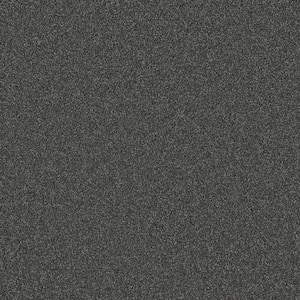 Misty Meadows II- Afton Gray - 60 oz. SD Polyester Texture Installed Carpet