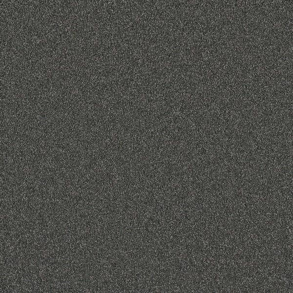 Lifeproof Misty Meadows II- Afton Gray - 60 oz. SD Polyester Texture Installed Carpet