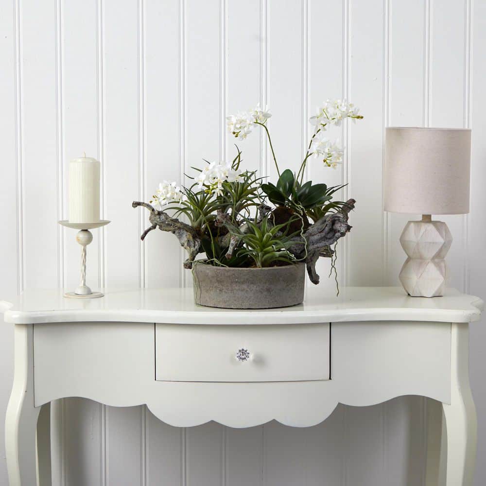 Elegant White Orchid and Green Succulent 22" Tabletop Centerpiece