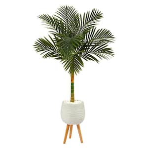 5 ft. Golden Cane Artificial Palm Tree in White Planter with Stand