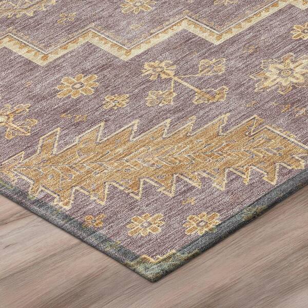 Chantille Machine Washable Indoor/Outdoor Abstract ACN3141 Blush 8 ft. x 10 ft. Area Rug