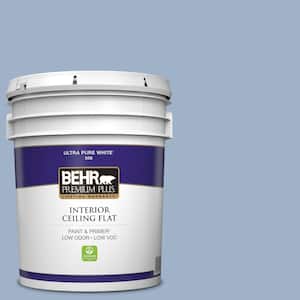 5 gal. #S530-3 Aerial View Ceiling Flat Interior Paint