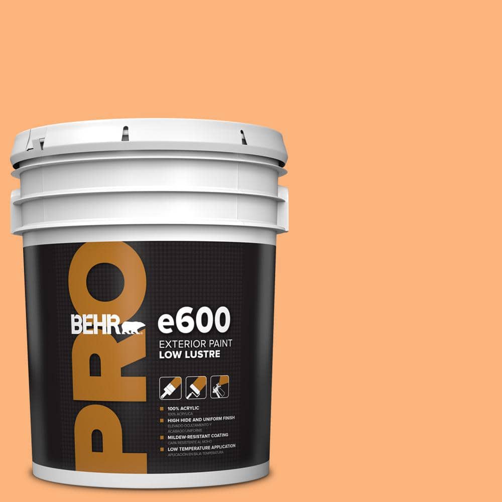 5 gal. #P220-5 Fuzzy Peach Low Luster Exterior Paint price history on PriceWatchPro