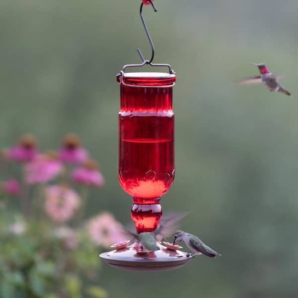 Perky-Pet 8119-2 Red Antique Glass Bottle Hummingbird Nectar Feeder 24 oz 