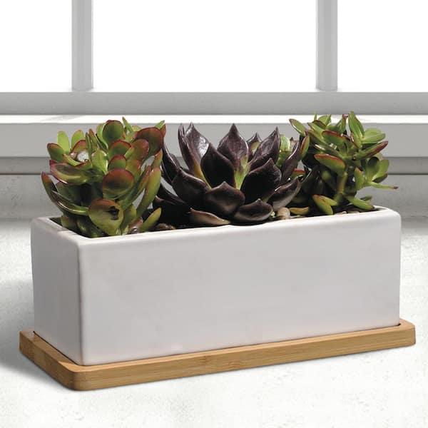 Nipp Medium White Ceramic Rectangle Planter with Attached Tray (9 in. L x 8.5 in. W x 3.4 in. H)