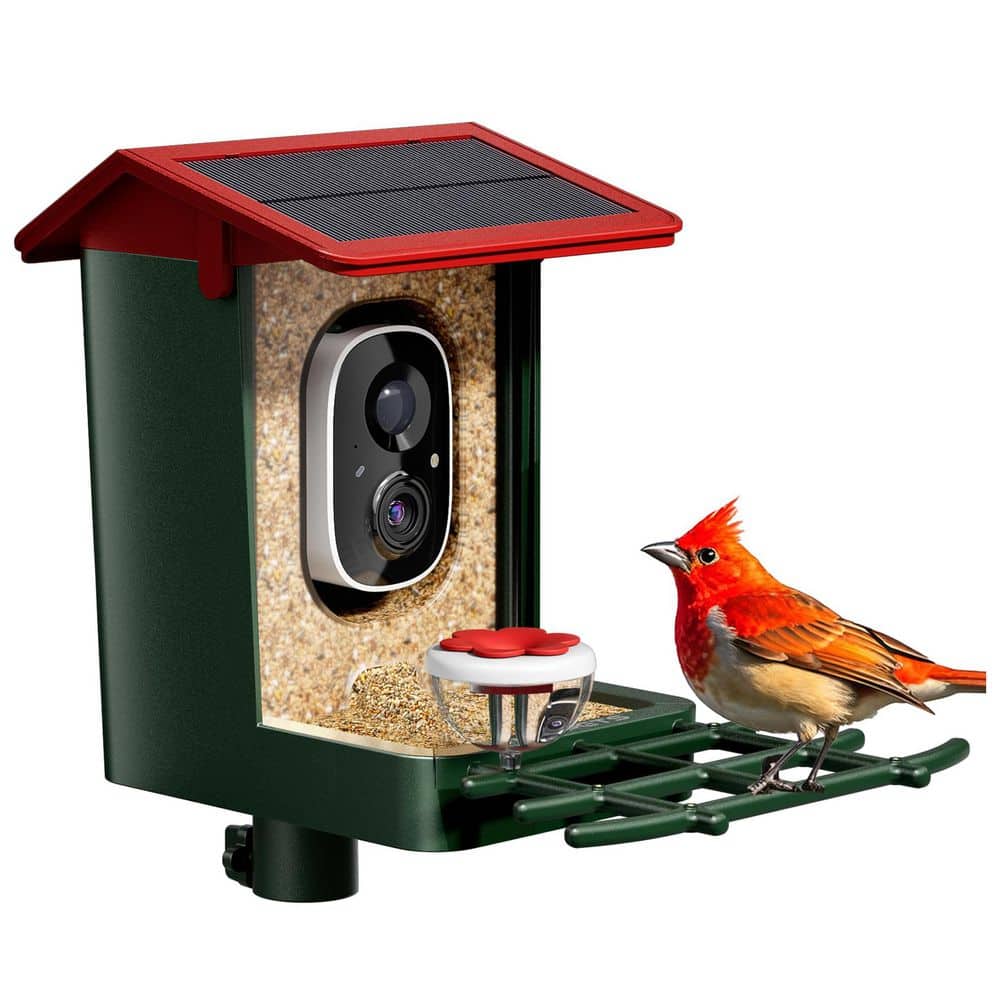 Red Plastic Wall or Pole Mount AI Smart Bird Feeder with Camera Solar Powered 2K HD for Wild Birds Weatherproof price history on PriceWatchPro