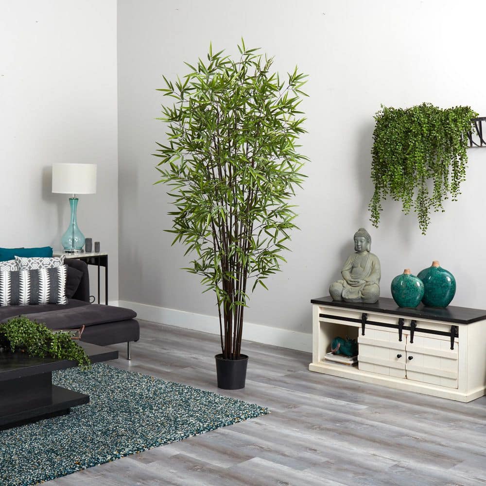 6.5 ft Black Bamboo Silk Tree in Plastic Pot