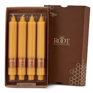 Smooth Collenette 9 in. Butterscotch Unscented Taper Candle (Box of 4)