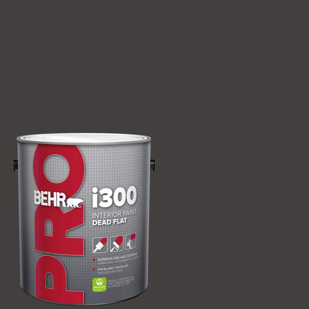 1 gal. #N510-7 Blackout Dead Flat Interior Paint price history on PriceWatchPro
