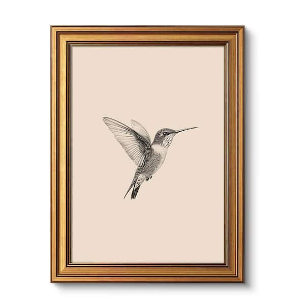 Hummingbird Series Vintage Gold Framed Canvas Print Sketch Bird