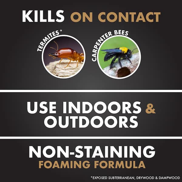 16 oz. Terminate Termite Killing Foam (Insect Killer)