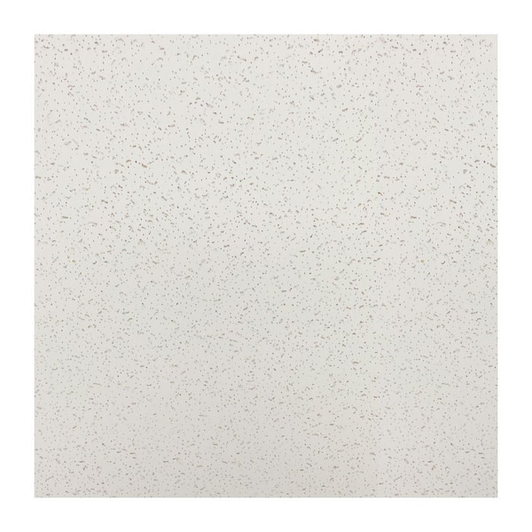 White 2 ft. x 2 ft. Decorative Smooth Ceiling Tile 48 (sq. ft. / case) 12-Tiles