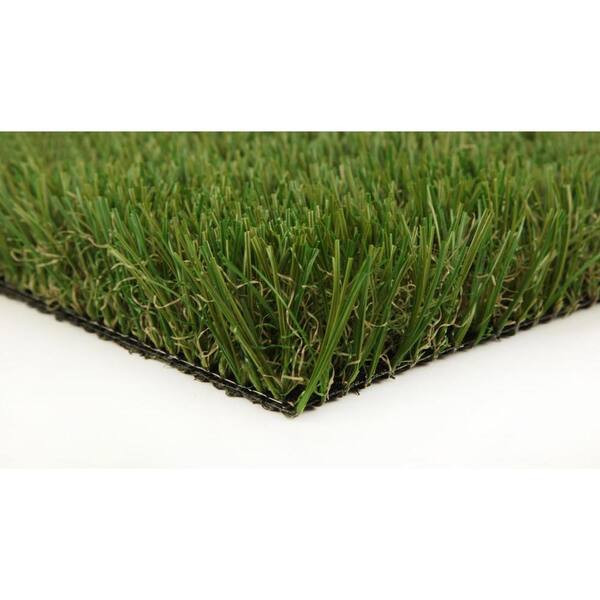 GREENLINE Classic Pro 82 Fescue 5 ft. x 10 ft. Artificial Grass