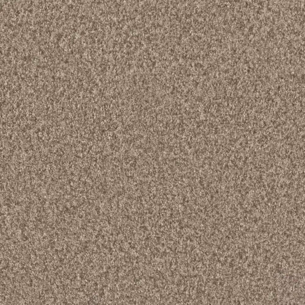 8 in. x 8 in. Texture Carpet Sample-Manuscript II-Color Scroll price history on PriceWatchPro