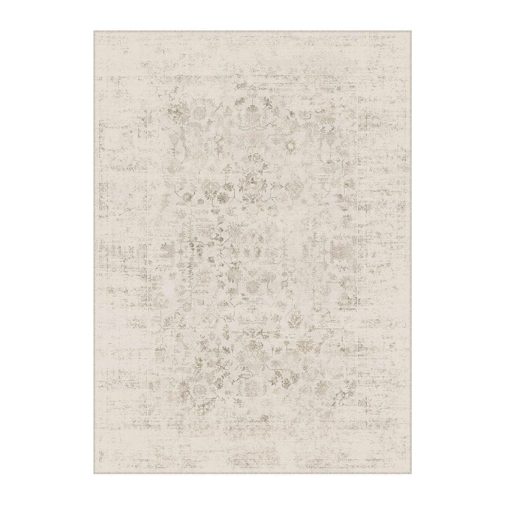 Backyard Garden Brown 8 ft. x 10 ft. Vintage Distressed Washable Area Rug price history on PriceWatchPro