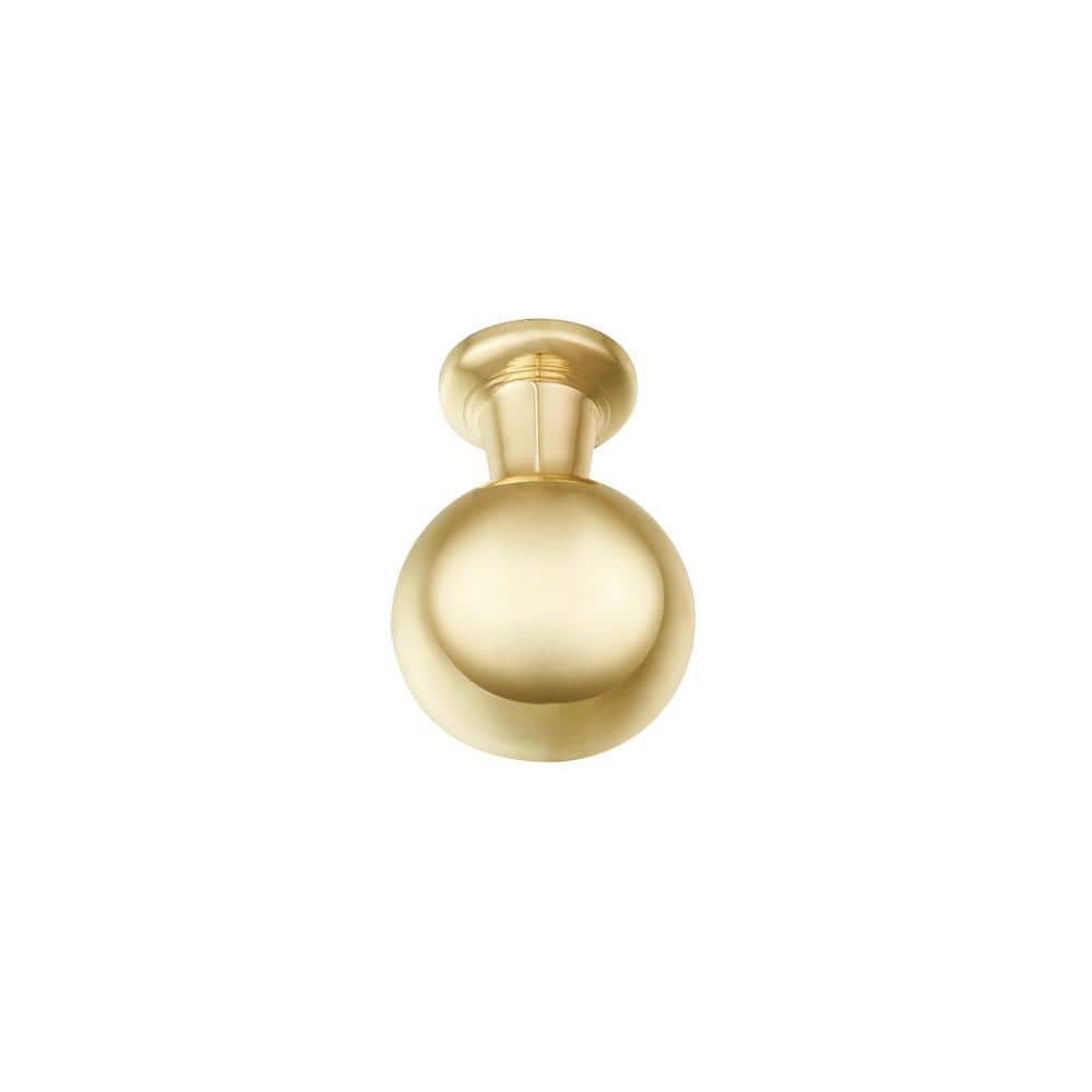 Gold Round Zinc Cabinet Knob with Mounting Hardware