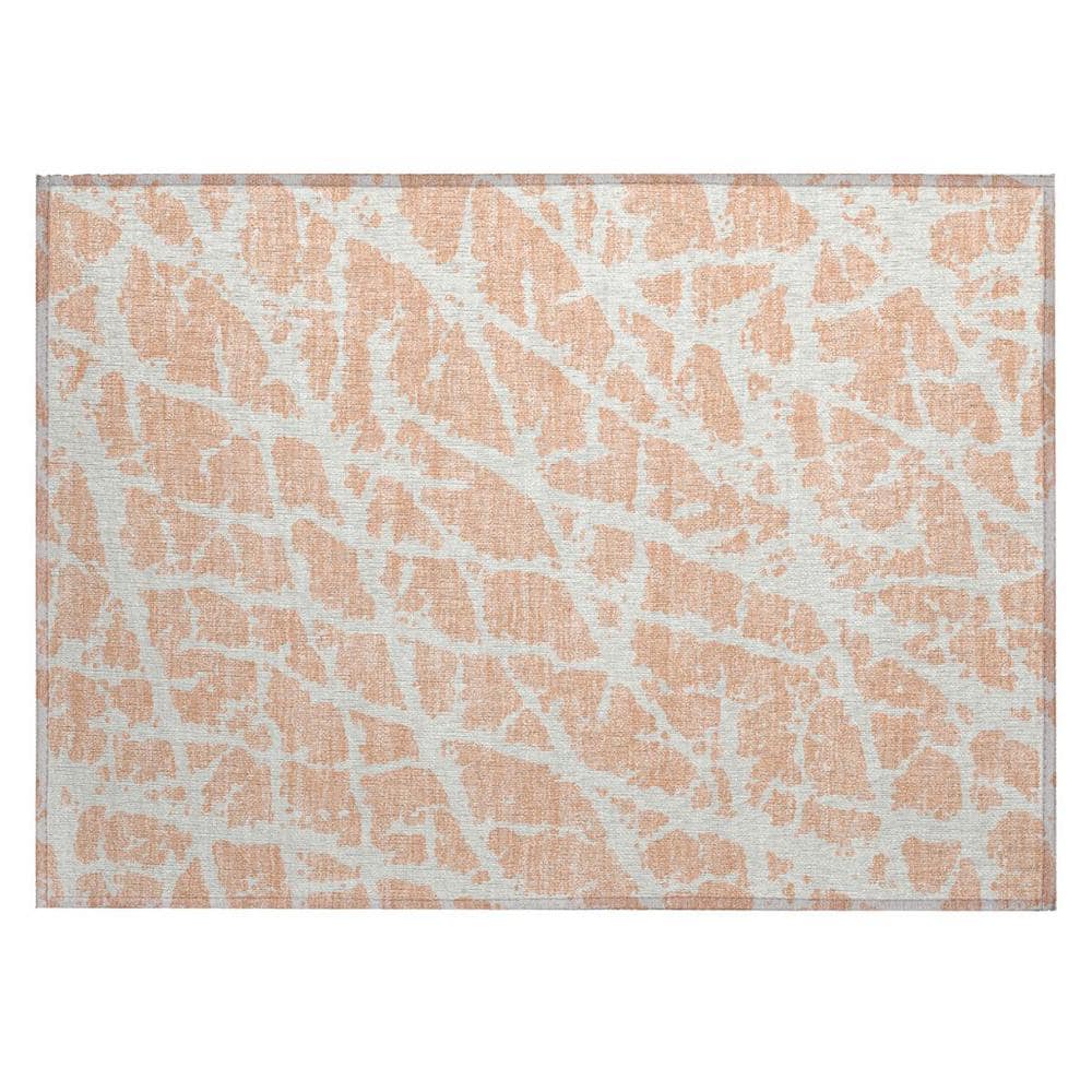 Peach and Ivory 2 ft. x 3 ft. Abstract Indoor/Outdoor Area Rug price history on PriceWatchPro