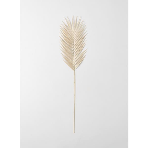 34" Artificial Beige Dried Fern Spray
