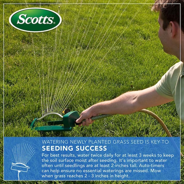 Scotts lbs. Builder Sunny Grass Seed - The Home Depot