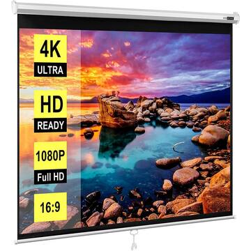 120 in. Manual Pull-Down Retractable Projector Screen, 1:1 HD