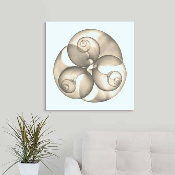 GreatBigCanvas "Shell" by Albert Koetsier Canvas Wall Art