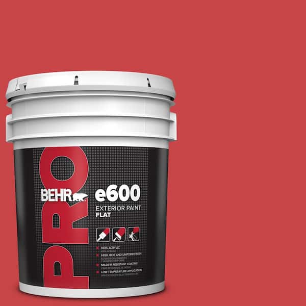 BEHR PRO 5 gal. #P150-6 Whip Lash Flat Exterior Paint