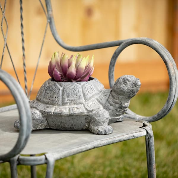 SULLIVANS 6 in. Charcoal Gray Tortoise Planter PR2798 - The Home Depot