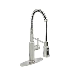 Single Handle Pull Down Sprayer Kitchen Faucet in Brushed Nickel