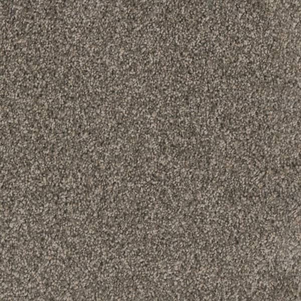 Home Decorators Collection Affectionate I - Loyal - Beige 40 oz. SD Polyester Texture Installed Carpet