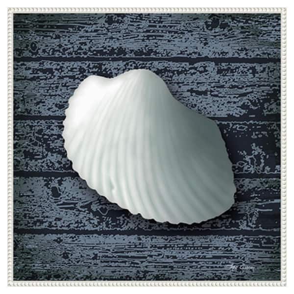Amanti Art Seashore Shells Navy I by Marie Elaine Cusson 30 in. W x 30 in. H. Canvas Wall Art Print Framed in White