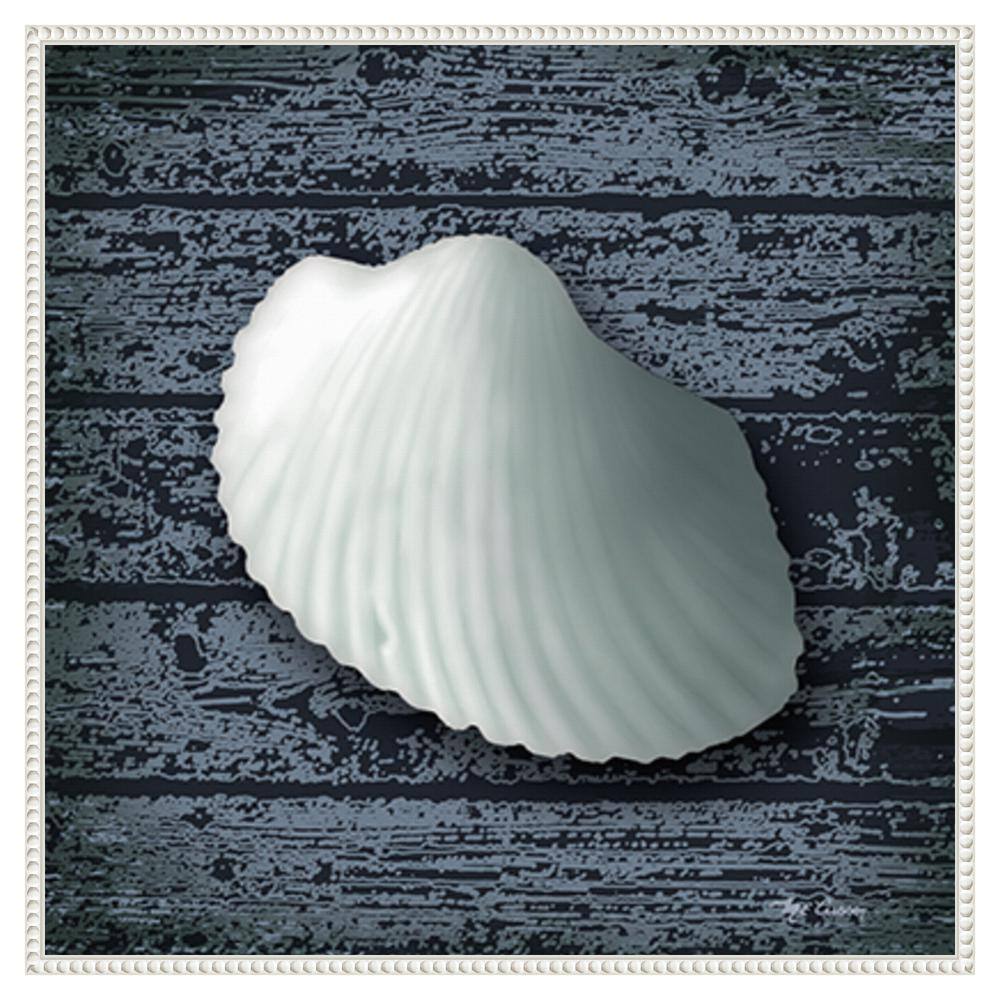 Seashore Shells Navy I White Floater Frame Canvas Wall Art