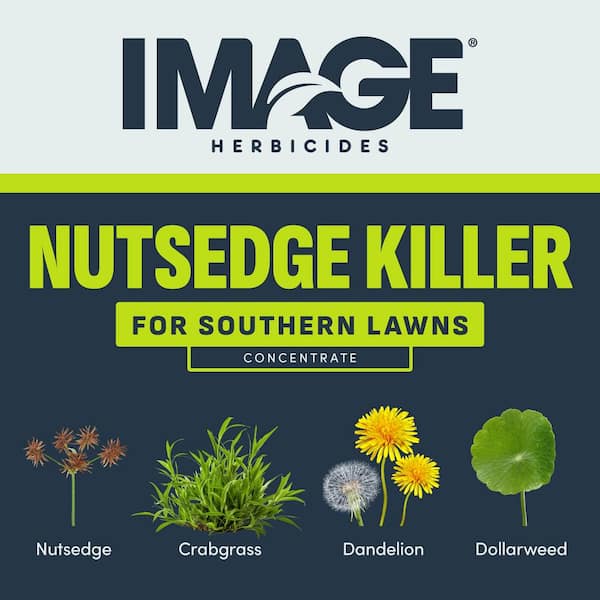 Image 24 oz. Concentrate Nutsedge & Weed Killer