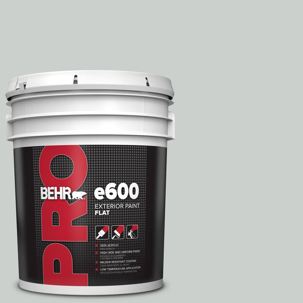 5 gal. #HDC-MD-06G Sparkling Silver Flat Exterior Paint price history on PriceWatchPro