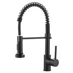 Single-Handle Pull-Down Sprayer Kitchen Faucet in Matte Black