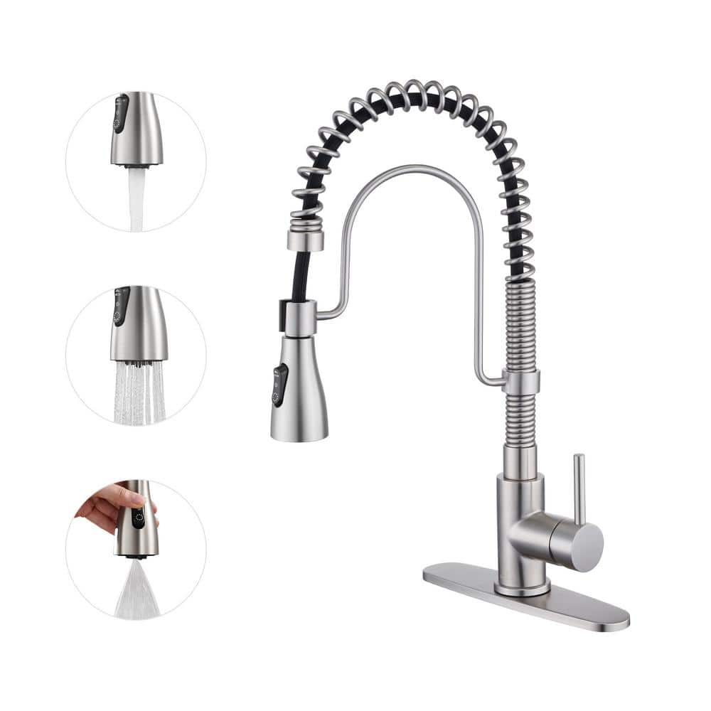 CASAINC Single-Handle Pull Down Sprayer Kitchen Faucet with Advanced 3 ...