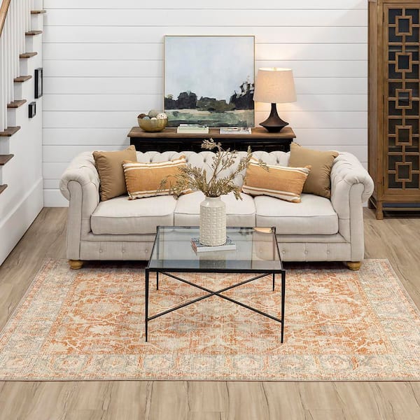 Paloma Terracotta 6 ft. 6 in. x 9 ft. Ornamental Indoor Area Rug