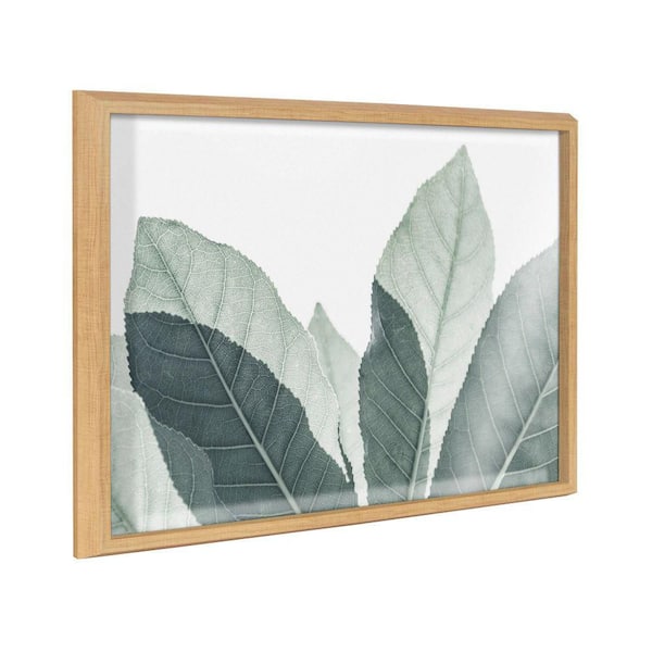 Kate and Laurel Blake Modern Green Leaf Botanical III by the Creative Bunch Studio Framed Glass Art Print 24 in. x 18 in.