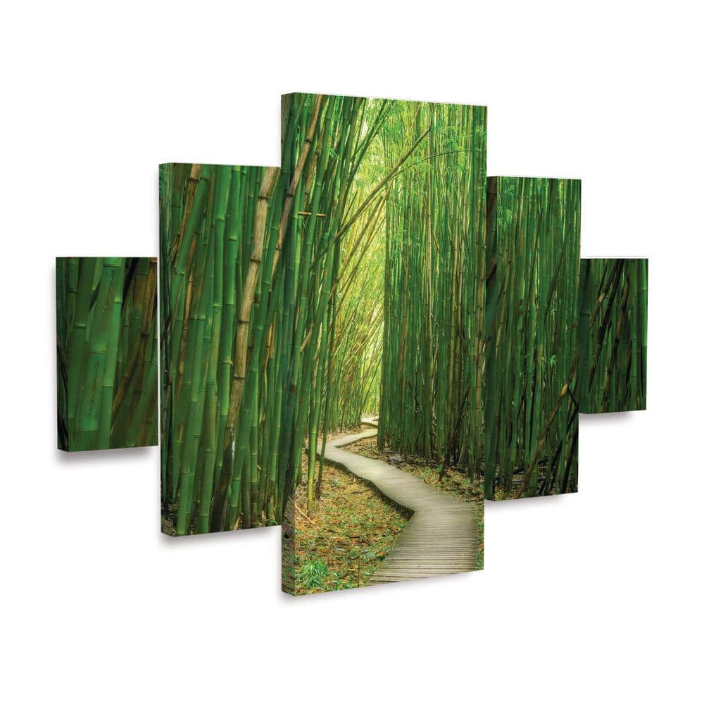 Dennis Frates Bamboo Path 5-Piece Green Canvas Wall Art Set