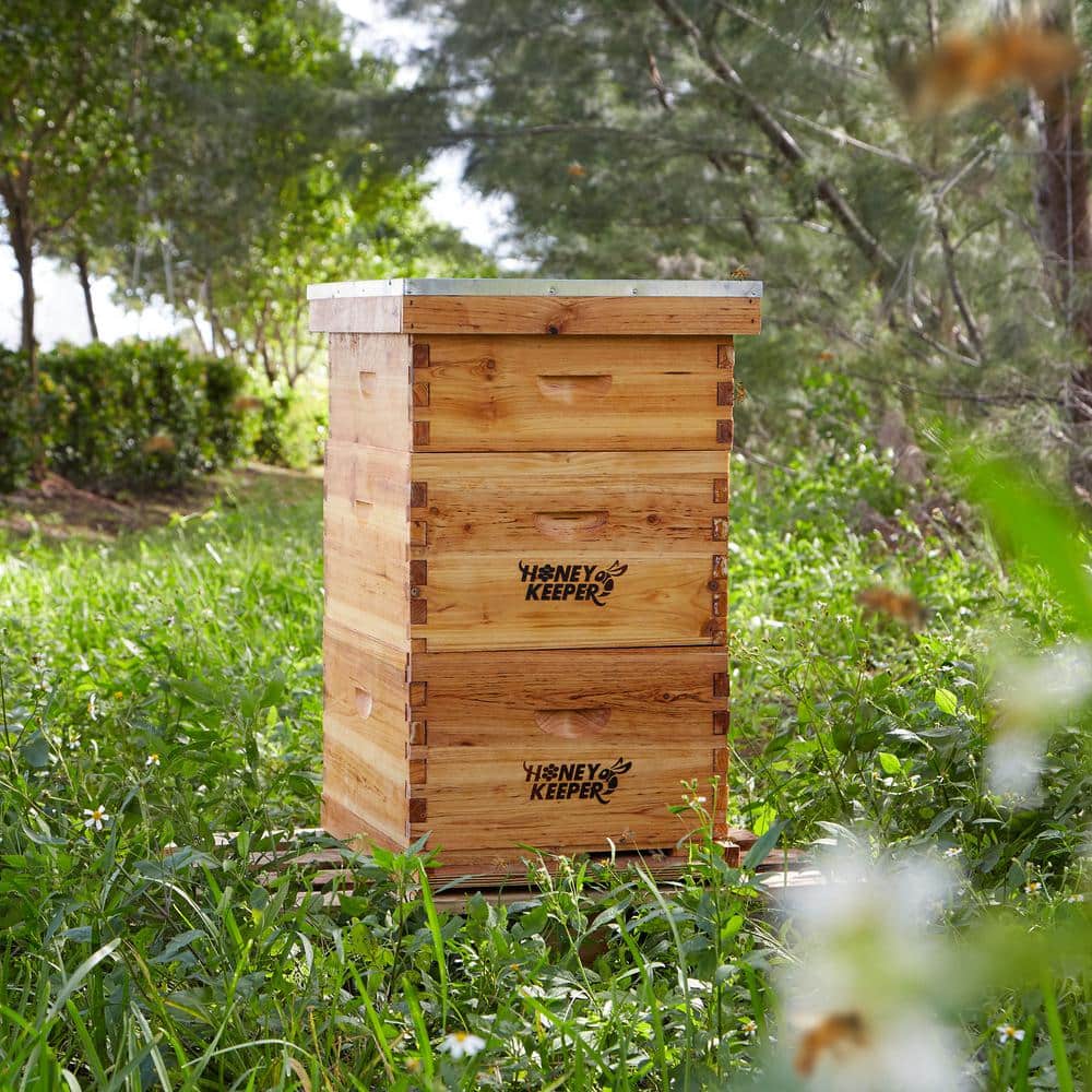 Honey Keeper 3-Tier Wooden Beehive Kit with Waxed Foundations