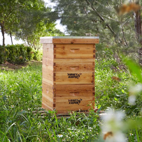 https://images.thdstatic.com/productImages/f7741717-f3ff-49b6-a733-8341dfbdbcdd/svn/honey-keeper-beekeeping-supplies-bee-hive-310-31_600.jpg