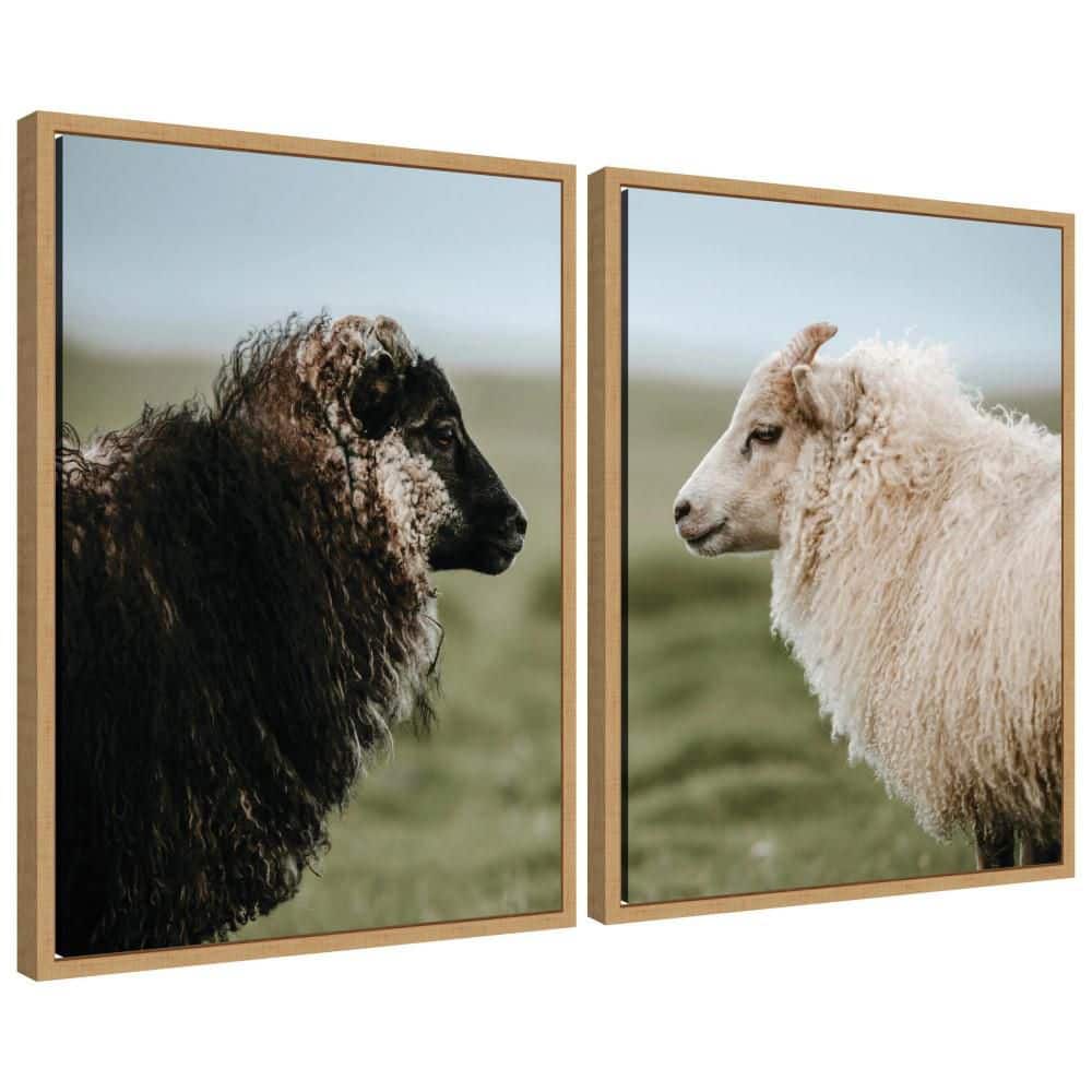 "2 Piece Sylvie ""Sheeply in Love"" by Michael Schauer Animals Framed Art Print Set 24 in. x 18 in." price history on PriceWatchPro