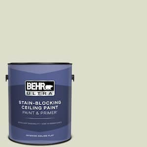 1 gal. #PPU10-15 Desert Springs Ceiling Flat Interior Paint & Primer